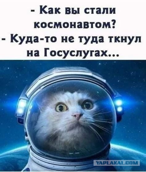 А вы могли бы стать космонавтом?