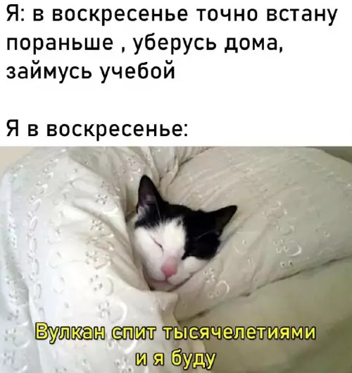 Картиночки, баянчики 25 февраля