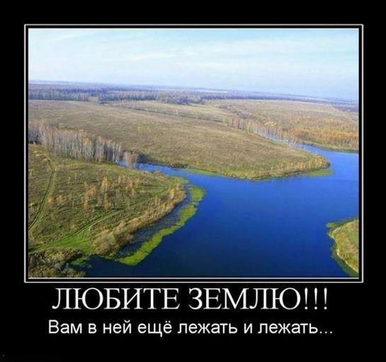 Субботние картинки