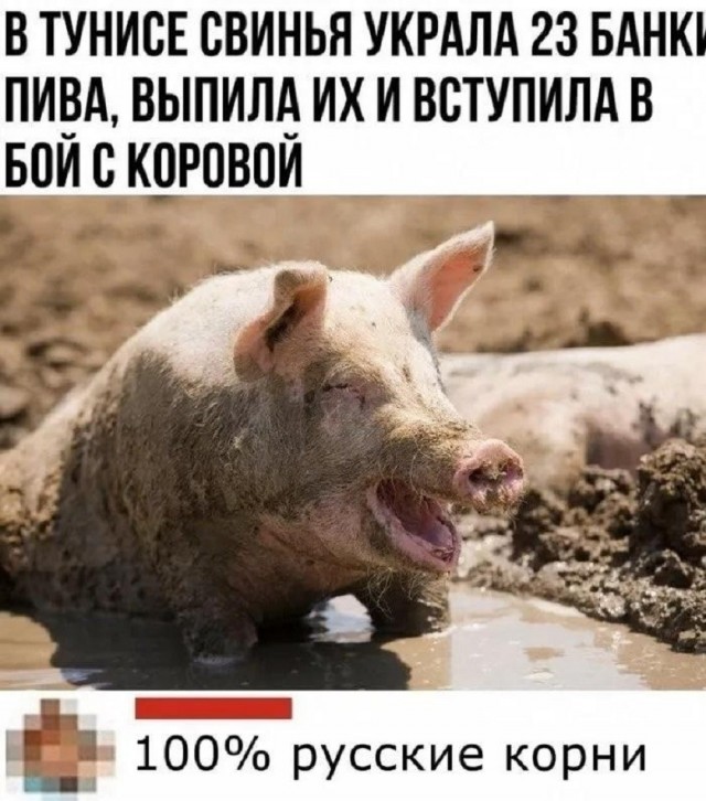 Помогите бабоньке советом