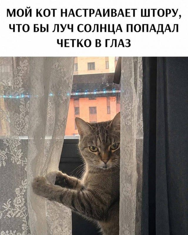 Картинки для деградации 229 (разной степени свежести)