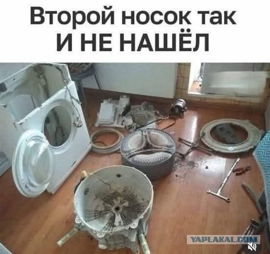 Картинки для деградации 239 (разной степени свежести)