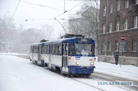 Наркоман веселился.