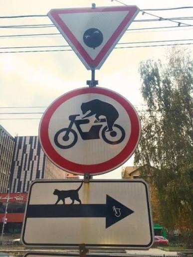 Шизофрения в абсолюте