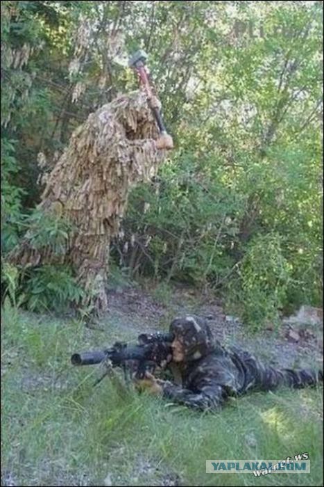 Весёлые картинки. Разбавим будни