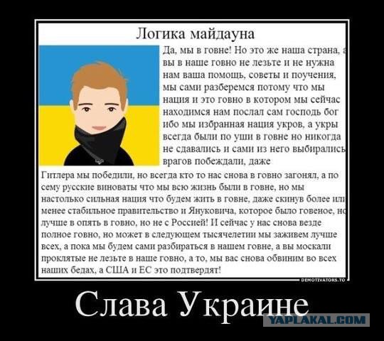 Смешные комментарии из социальных сетей 11.11.2014