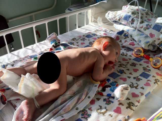 Одни сутки папы