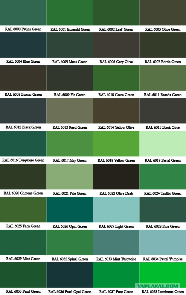 Код темно зеленого цвета. RAL 6003 зелёная олива профнастил. Зеленый цвет рал. Таблица рал хаки зеленый. Рал цвета зеленое хаки.