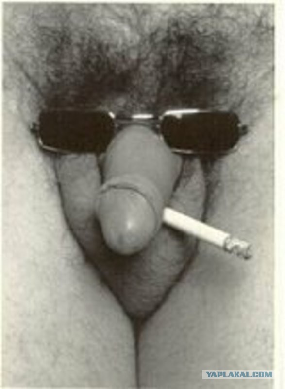 ���������� ������� ����� � ���������