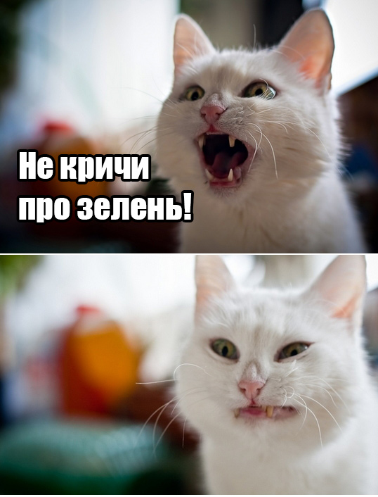 Когда создал новый пост и ждёшь зелени