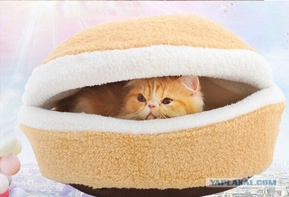 Подборка забавных картинок