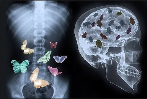 Подборка интересных и веселых картинок