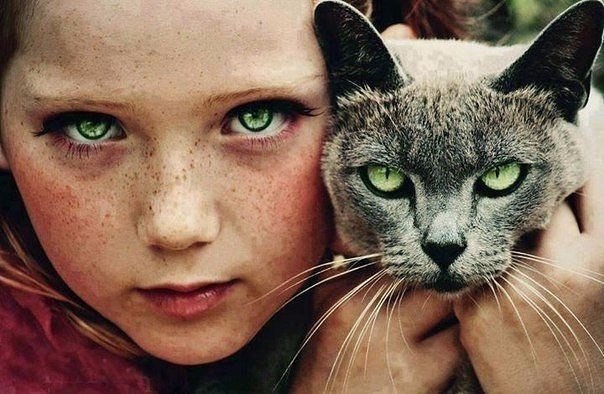 Небольшая подборка разного из сети.