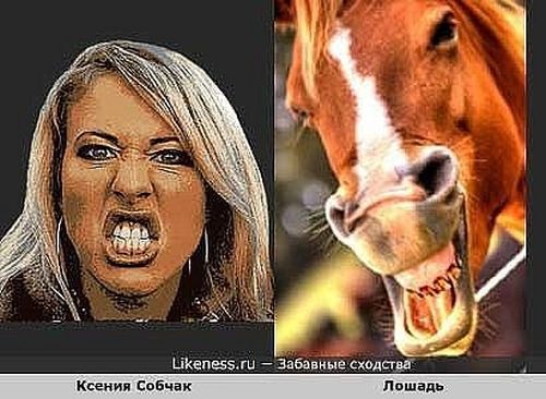 Один в один! 17 людей, животных и вещей, которые невероятно похожи друг на друга.