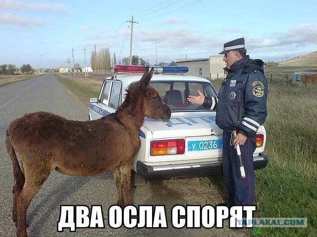 Водитель остановил гаишников и потребовал составление протокола на самих себя