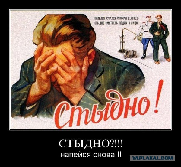 За что вам стыдно?