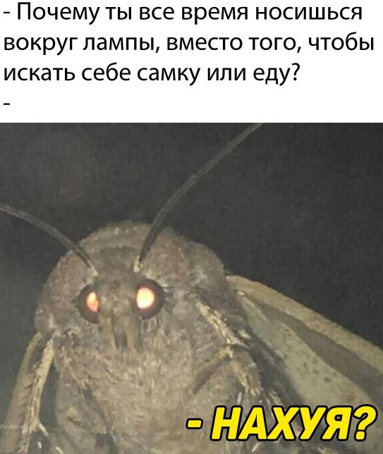 Немного картинок в этот вторник
