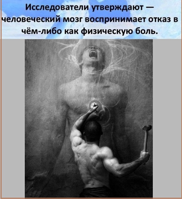 Факты на разные темы