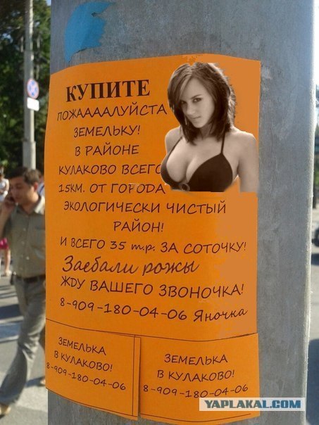 Ну какая прелесть на столбе!