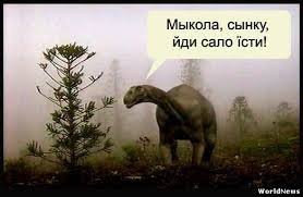 Развеиваем мифы: Украина и сало
