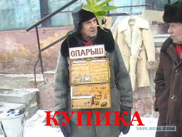 Фотожаба: Лето, фрукты, генетика!