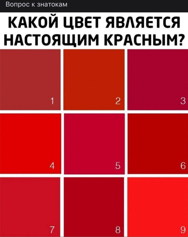 С миру по нитке на 2.02.21