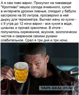 Алкопитница