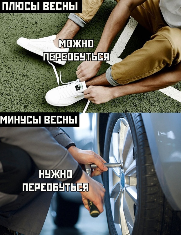 15361155.jpg