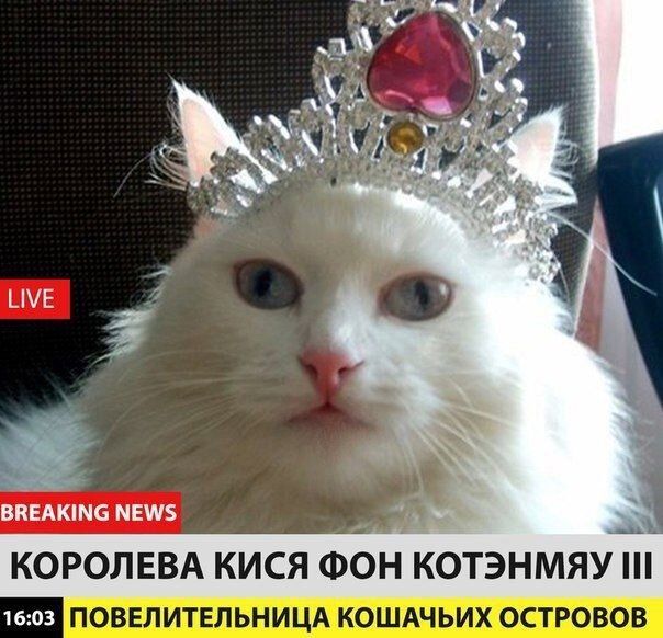 Так себе картинки 13.04.21