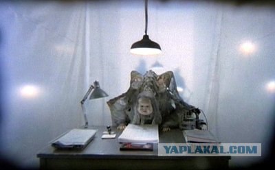 Кинокадры