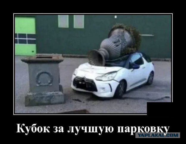 Картинки и мемы для настроения 09.06.2021