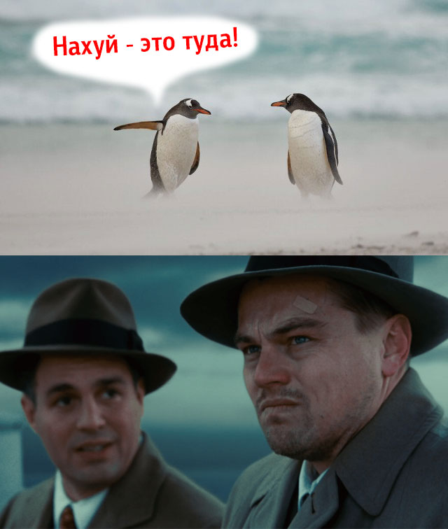 Лучшие фото конкурса Comedy Wildlife Photography Awards 2021