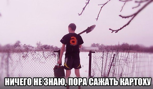 Министр посоветовал челябинцам не сажать картошку в этом году