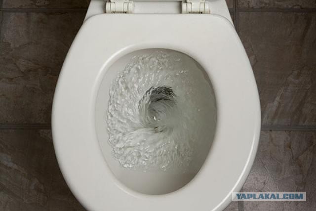 Гомосека смыло