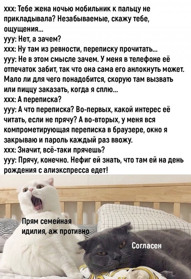 Картинки и мемы. Выходные близко, близко...