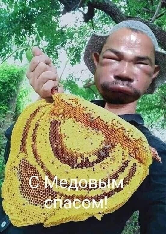 15 фото сударынь, коллеги
