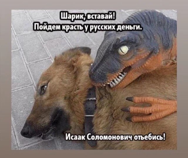 И я туда же!