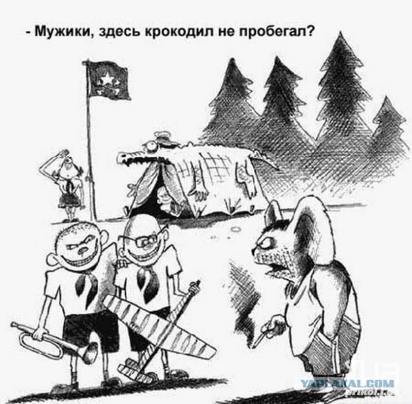 Генетическая память
