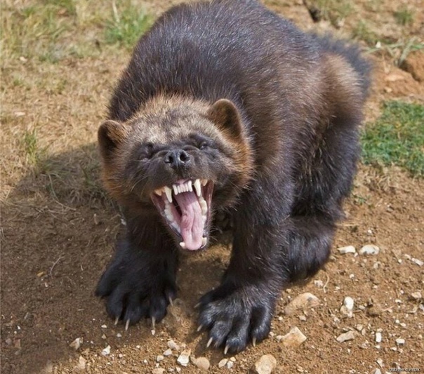 Большая разница в возрасте: хочу развестись, чтобы не содержать мужа на пенсии