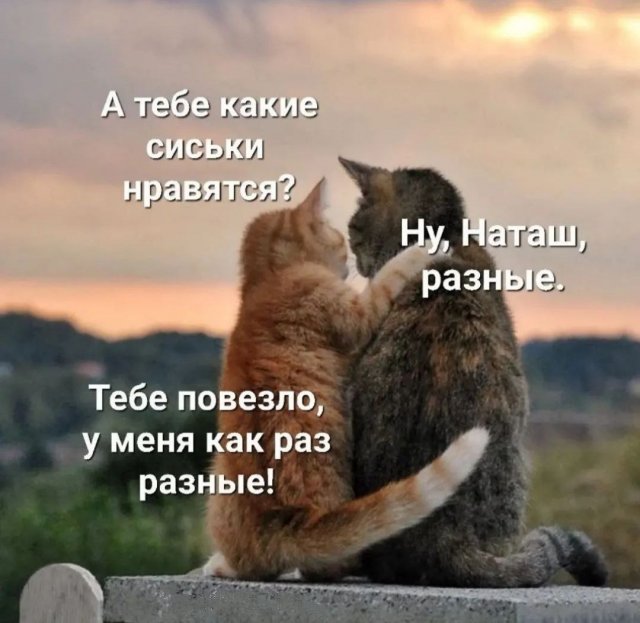 Картинки и мемы для настроения - 131