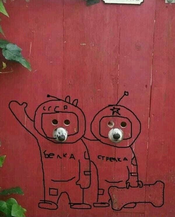 Брат, подсади