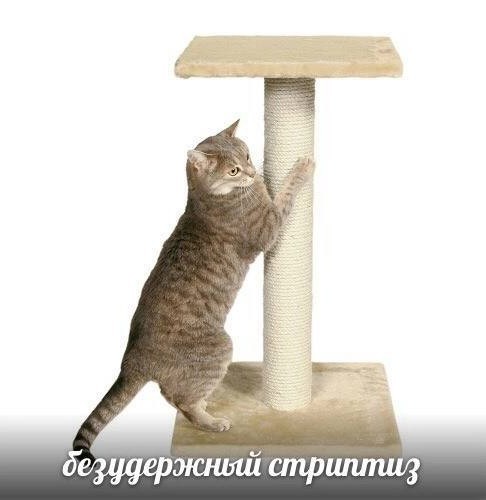 Всего понемногу. От 17.04.23