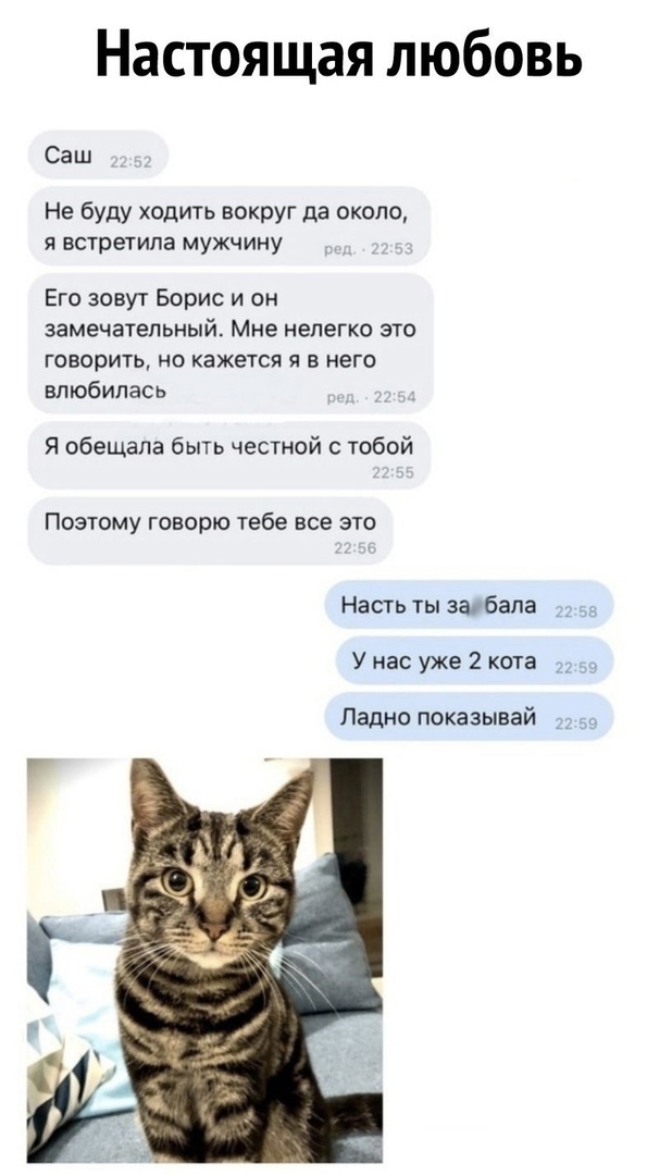 Так себе картинки 16.01.25