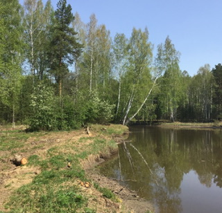 Литболталка