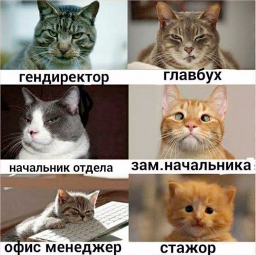 Не ленитесь!