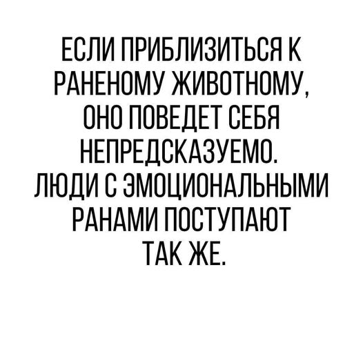 Дегрономикон 2