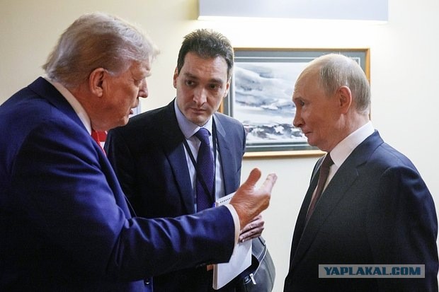 Стив Уиткофф назвал переводчика Путина Алексея Садыкова «легендой», а его голос — «лучшим на всей земле»