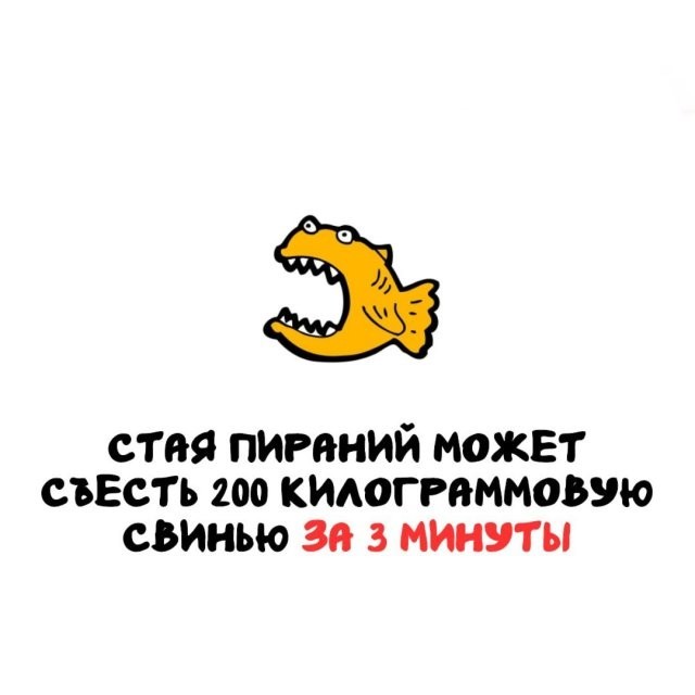 Интересные и короткие факты на все случаи жизни 19.04.26