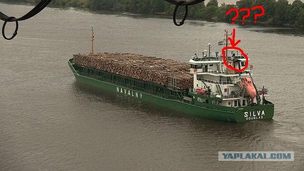 Срочно в номер! Найден "Кировлес"!