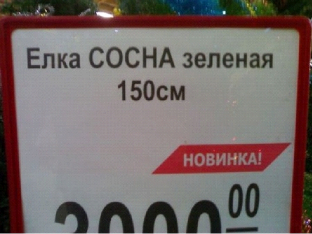 Маразмы года 2013